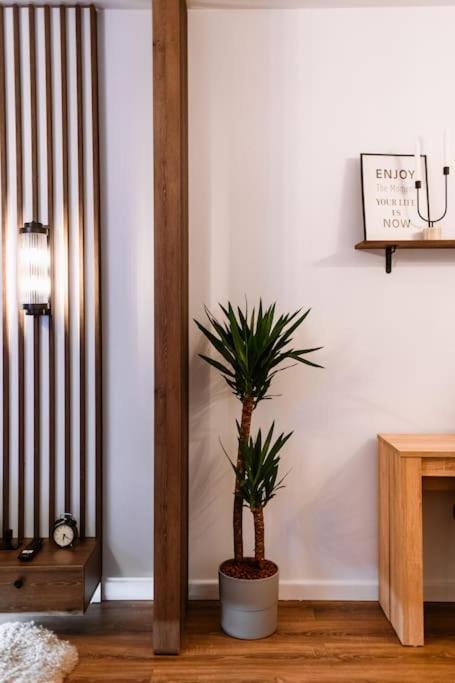 Apartment Eliss Sinaia